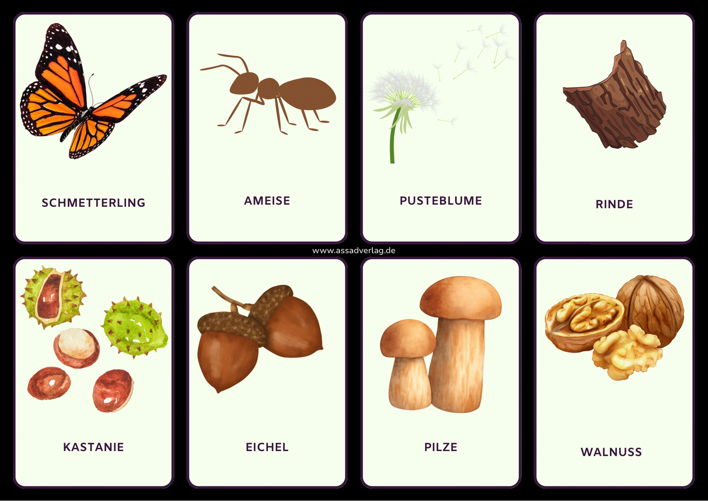 Natur entdecken – Islamische Naturkarten für Kinder 🍃